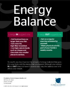 Energy Balance poster - 17248