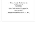 DFM - 2019 Summary Plan Description