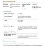 Dillon Family Med Guardian Dependent Basic Life Summary of Benefits 2018