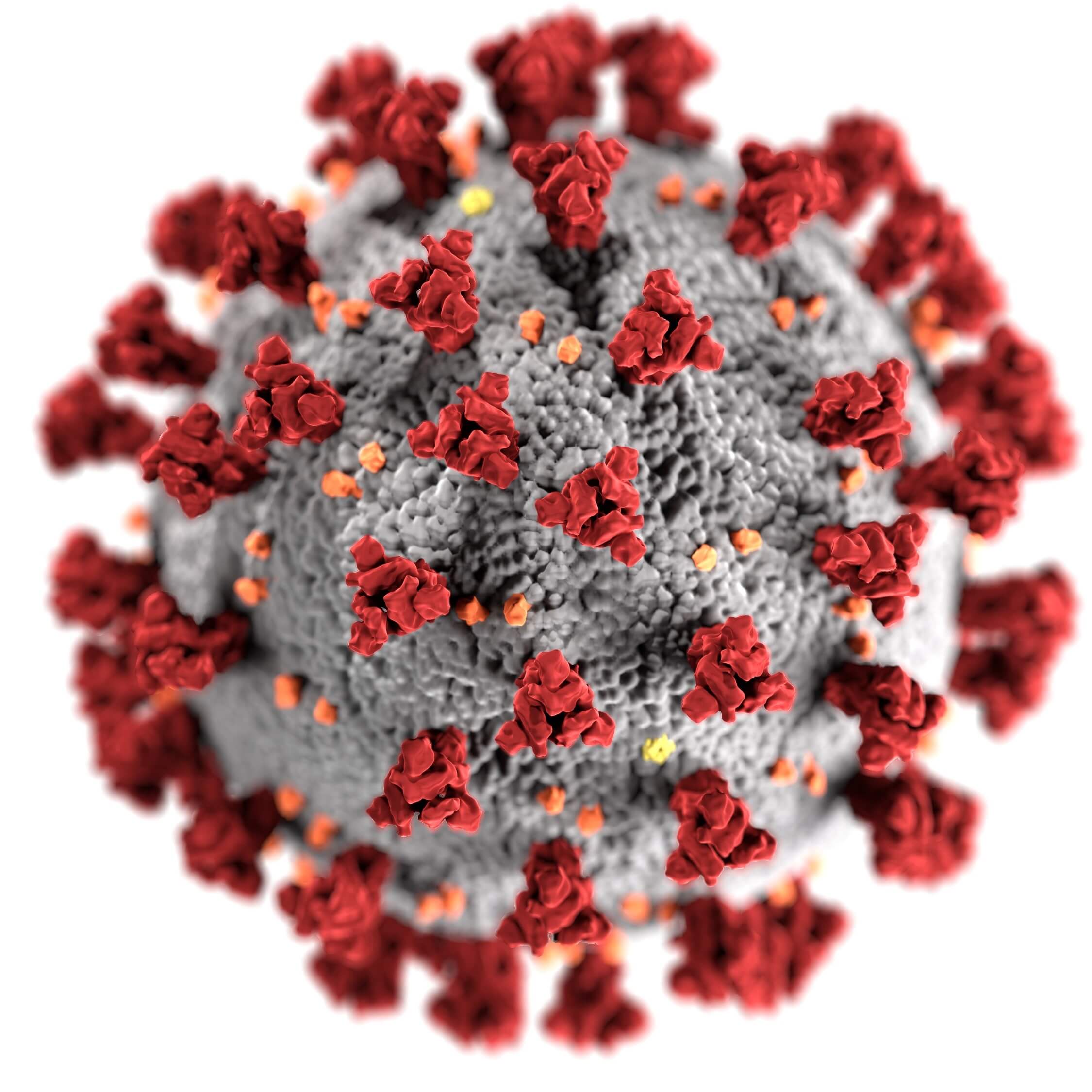 coronaVirus