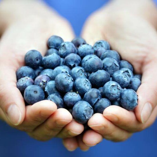 handful_fresh_blueberries
